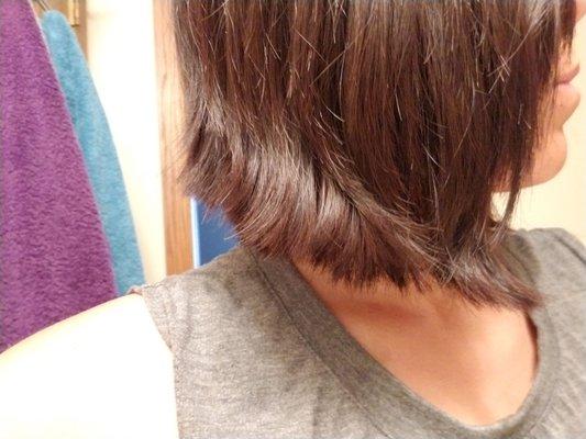 This was supposed to be my long side aline cut. Totally butchered and horrible.