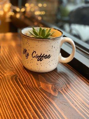 Adorable plant decor in their signature mug