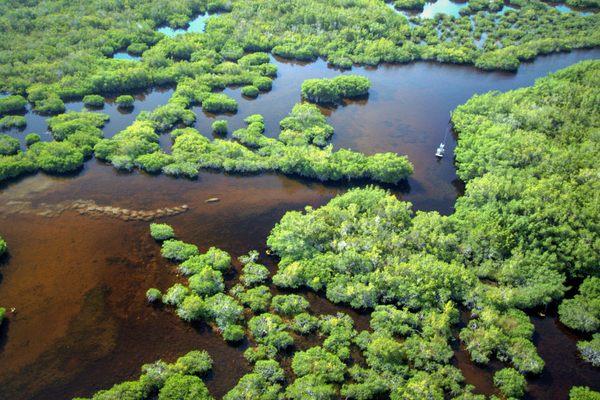 10,000 Islands in Everglades National Park