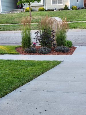 Lawn before chemical burn spots