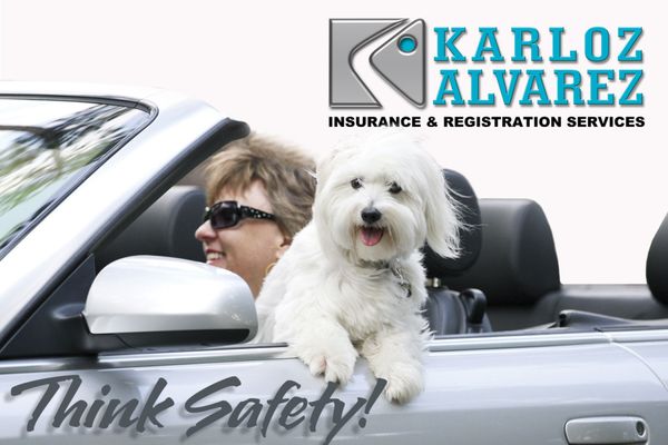 Karloz Alvarez Insurance  & Registration Services