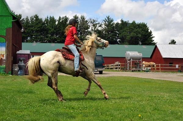 very talented and wonderful horse riding instructor