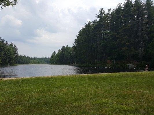 Grassy area, leads down to the sandy beach!