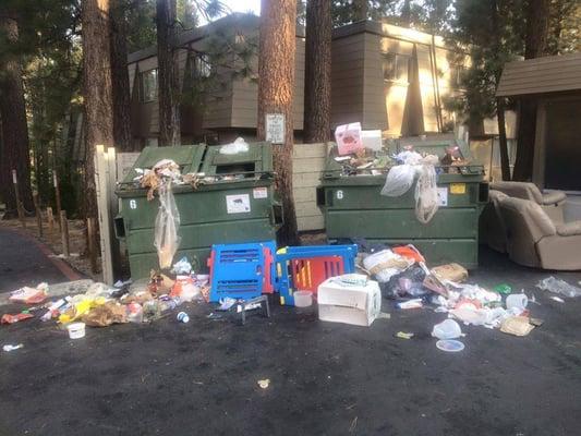 The place is a pit.  This is why bears are euthanized in Tahoe.