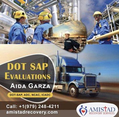 SAP Evaluations