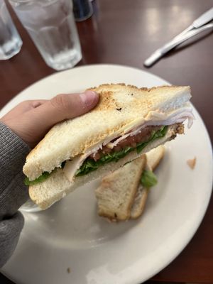 The 13$ turkey sandwich "toasted"