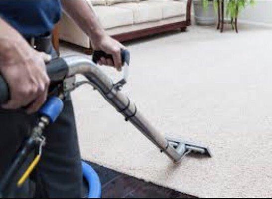 Professional carpet cleaning service