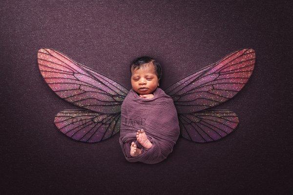 Purple Faery - Newborn photography