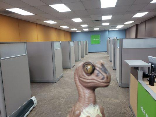 Bob the Raptor says "The tax mammals live in these cubicals."