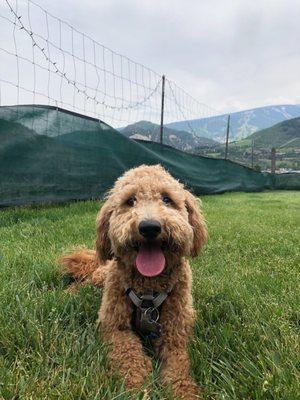 Arlo at daycare