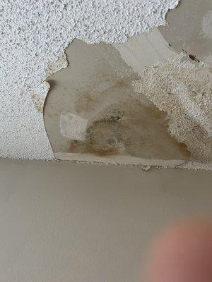 Ceiling falling into apartment.