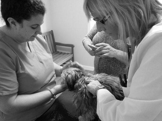 Dr. MaryHelen performing a exam on little Sophie :)