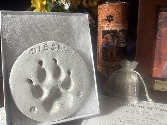 My dogs paw print