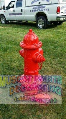 Fire hydrant sandblasting painting polysiloxane muscatpainting.com