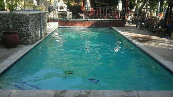 A clean pool is a healthy pool!