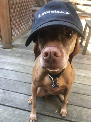 Brian got this great hat from DNO and he LOVES it!