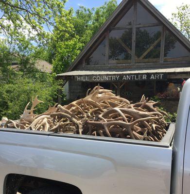 Hill Country Antler Art