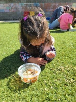 We enjoyed celebrating Week of the Young Child and releasing ladybugs for Family Friday