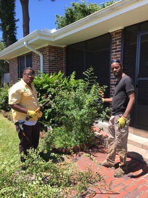 The Galathe Bros. Yes ma'am we're master surgeons on foliage. No worry she won't feel a thing..