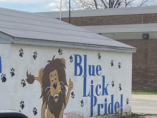 Blue Lick Playground