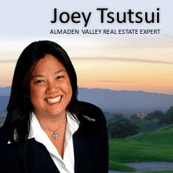 Joey Tsutsui, your Almaden Valley Real Estate Expert