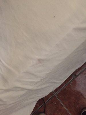 Weird red ish color stain on the bedsheet