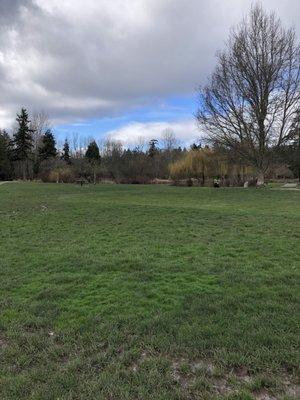 Open field in Medina park