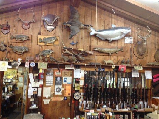 Frank Miller & Son Sporting Goods