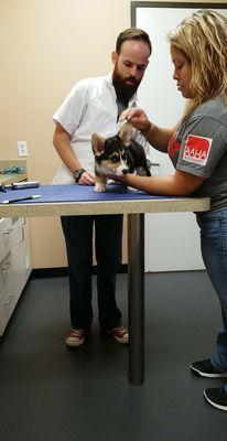 Bentley's first visit to the vet!