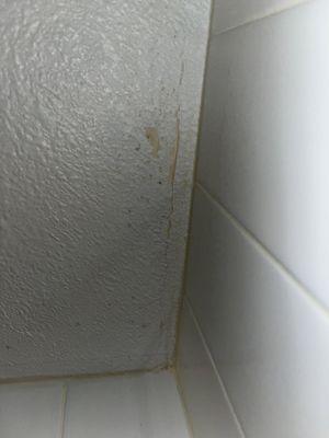 Mold growth in bathroom