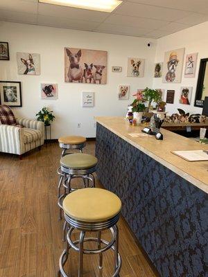 Inside the Shaggy Chic pet salon!