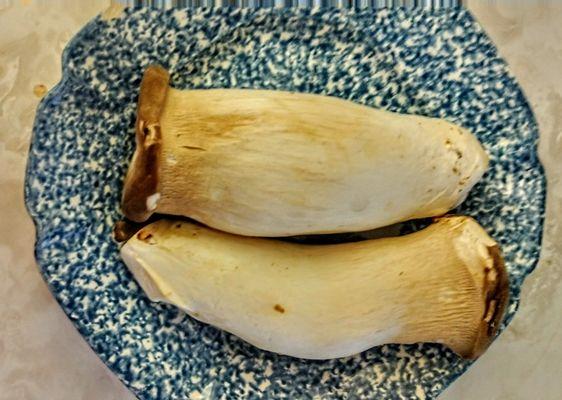 King oyster mushrooms taste great cut into medallions and sautéed in butter