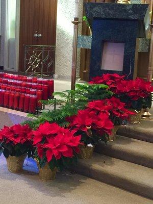 Poinsettias and candles