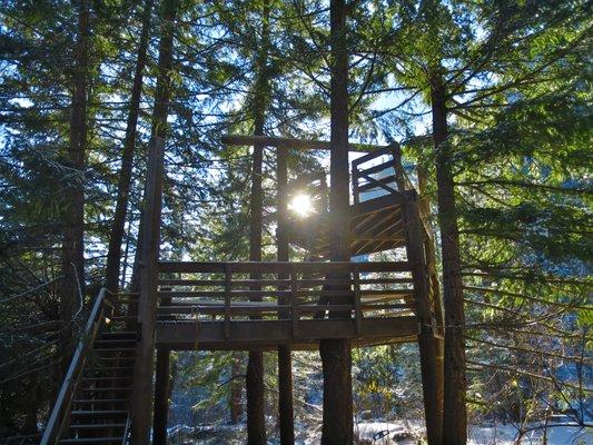 Three story tree house for the young at heart