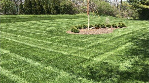 Brendels Lawncare Service