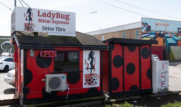 Ladybug Espresso