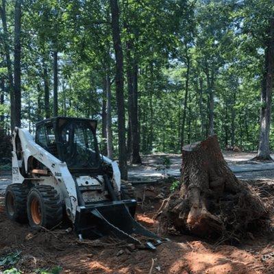 Reedy River Forestry Mulching and Land Clearing