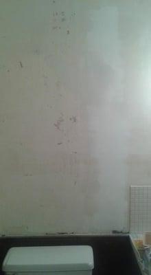 This was from a client that removed old wall paper. Of course you will have tears and areas that need to be skimmed.