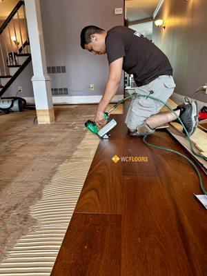 Trust the process! Wc Floors team member installing 7.5" Brazilian Chestnut Engineered Hardwood Floors