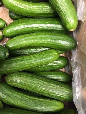 Exotic cucumbers