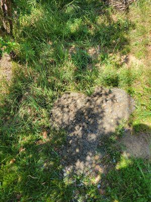 Left over concrete dumped over a sewer access drain. Luckily, I noticed it and shoveled it out before it set.