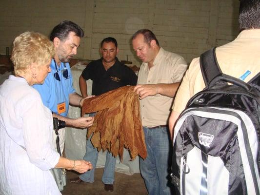 J Paul Tucker and Christopher Mey examine a hand of tobacco at the Rocky Patel cigar factory.