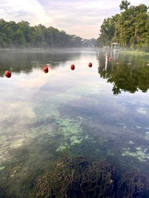 Rainbow Springs River 7:30am July 2024