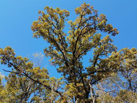 Anderson Lakes Regional Park