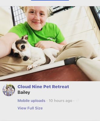 Cloud Nine Country Kennels