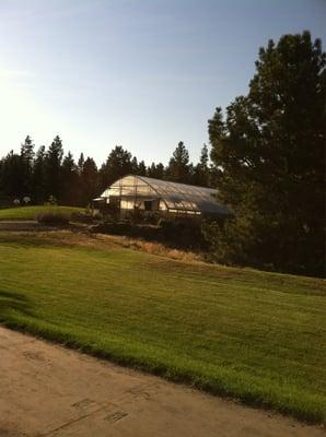 YMCA Greenhouse