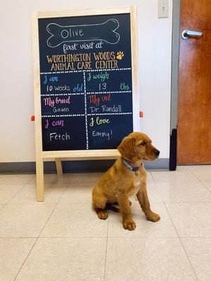 An adorable new client posing for her photo