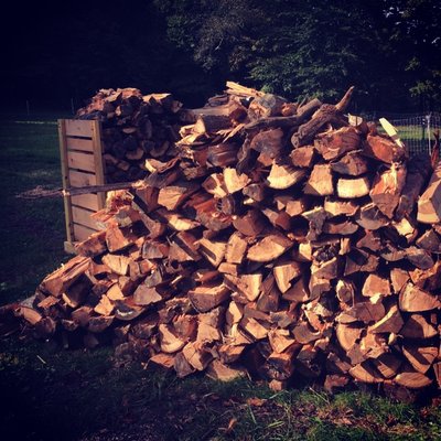 Firewood from local trees, harvested with sustainable forestry management practices available.