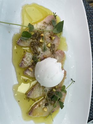 Hamachi Crudo