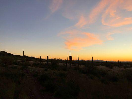 Picacho Peak hike, Arizona